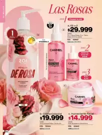 Catálogo Carmel Página 140