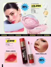 Catálogo Carmel Página 242