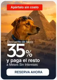 Catálogo Best Day Página 5