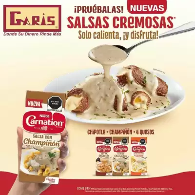 Garis (válido hasta 1-11)