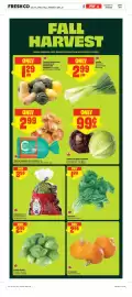 FreshCo flyer week 38 Page 5: Bogfresh beets €3,99, Kale Bunch €1,99