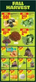 Chalo FreshCo flyer week 38 Page 5