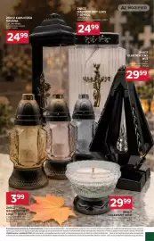 Stokrotka Market gazetka tydzień 38 Strona 29