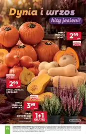 Stokrotka Market gazetka tydzień 38 Strona 5