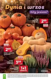 Stokrotka Market gazetka tydzień 38 Strona 5