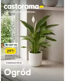 Castorama gazetka Strona 1: Skrzydłokwiat Verve €29,98