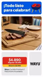 Catálogo Lider Página 16: Cuchillo premium 1 pieza acero inoxidable €4.890,00