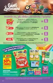 Biedronka gazetka Strona 24