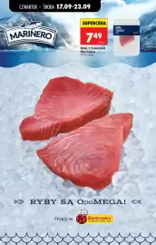 Biedronka gazetka Strona 48