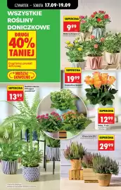Biedronka gazetka Strona 77