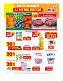 Catálogo Ara Página 1: Agente X Expert Pasta mágica limpiadora €4.990,00, De la Cuesta queso crema €3.400,00