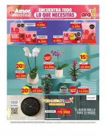 Catálogo Ara Página 18: Planta mini cactus €14.900,00, Orquídea piante 2 espigas supreme €62.500,00