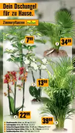Hornbach Flugblatt Seite 42