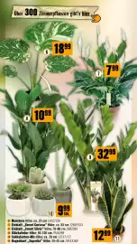 Hornbach Flugblatt Seite 43