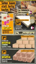 Hornbach Flugblatt Seite 9