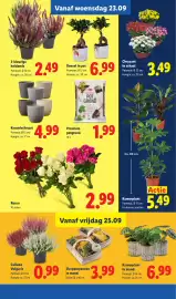 Lidl folder week 39 Pagina 16