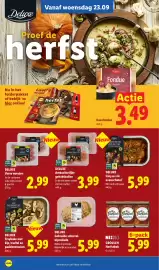 Lidl folder week 39 Pagina 17