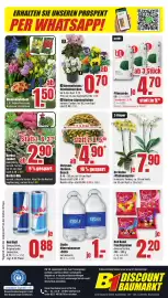 B1 Discount Baumarkt Prospekt woche 38 Seite 8