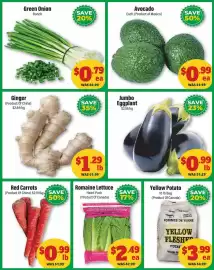 Iqbal Foods flyer week 38 Page 3: Green Onion Bunch €0,79, Avocado €0,99