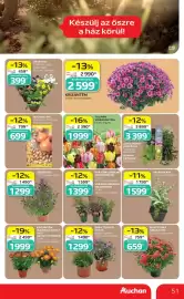 Auchan akciós újság hét 38 Oldal 51