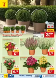 Netto Marken-Discount Prospekt Seite 4