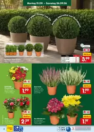 Netto Marken-Discount Prospekt Seite 4