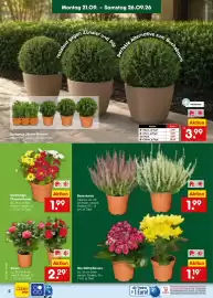 Netto Marken-Discount Prospekt Seite 4