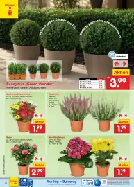 Netto Marken-Discount Prospekt Seite 4