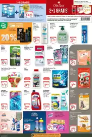 Globus Prospekt woche 39 Seite 25