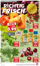 Kaufland Prospekt woche 38 Seite 8
