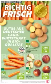 Kaufland Prospekt woche 38 Seite 24