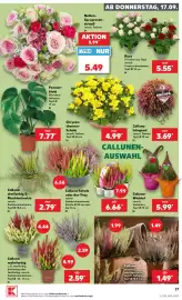 Kaufland Prospekt woche 38 Seite 27