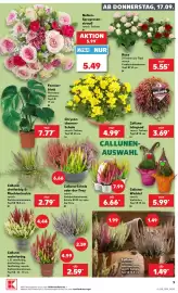 Kaufland Prospekt woche 38 Seite 9