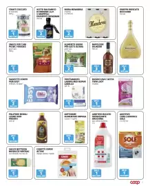 Volantino Coop Pagina 15: Salviette corpo Fria Easy €2,00, Snack per cani picnic friskies €1,00