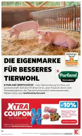 Kaufland Prospekt woche 38 Seite 62