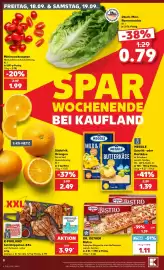 Kaufland Prospekt woche 38 Seite 8