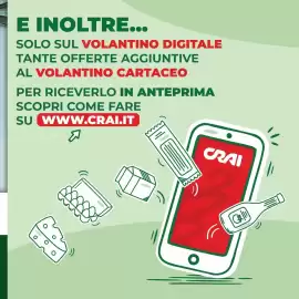 Volantino Carni e Affini Supermercati Pagina 13