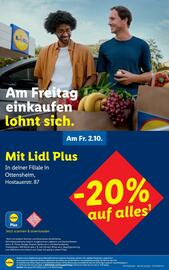Lidl Flugblatt woche 38 Seite 4