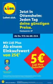 Lidl Flugblatt woche 38 Seite 1