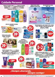 Folleto Farmacias Guadalajara Página 10: Fixodent, Garnier o l'oreal cremas faciales