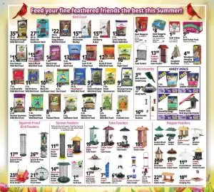 Ocean State Job Lot flyer week 38 Page 14: HBD Bountiful Bugs €33,00, Feather Snap Wi-Fi Smart Bird Feeder €149,99