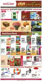Rural King weekly ad Page 3: Farm Innovators Baby Chick Starter Home €19,99, Carving Pumpkin €6,19