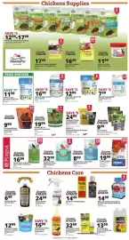 Rural King weekly ad Page 4: Purina Farm to Flock Hen Treats Protein Blend €32,99, Nutrena Hi Pro Scratch Chicken Feed €19,99