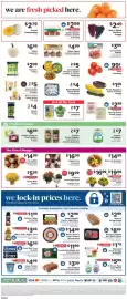 ShopRite flyer week 39 Page 9