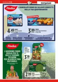Volantino Rossotono Carrefour Pagina 13: Findus Bastoncini di merluzzo €3,89, Findus Fiori di nasello €4,49