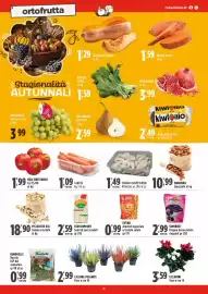 Volantino Rossotono Carrefour Pagina 6: Semi di zucca iodati €2,59, Fatina arachidi sguisciate e tostate salate €0,99