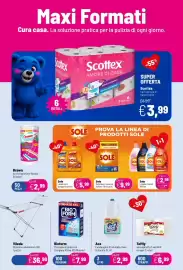 Volantino Caddy's Pagina 4: Bioform Plus Igienizzante con Ossigeno Attivo €7,99, Brawn Acciuffapolvere Rotolo €2,99