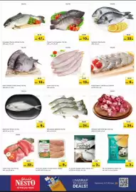 Nesto catalogue Page 16