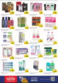 Nesto catalogue Page 17