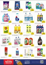 Nesto catalogue Page 19
